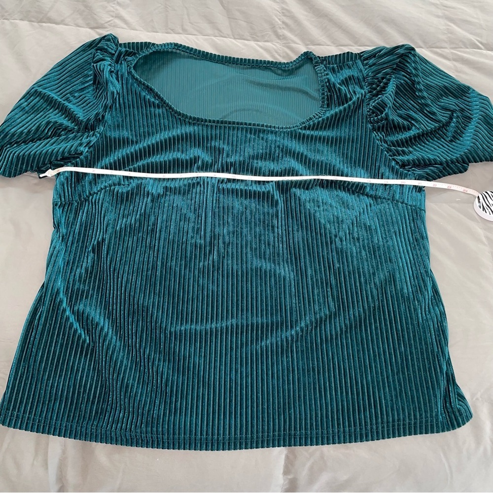 Shein Teal Green Velvet Burnout Stripes Women's Top with Puff Sleeve Size 2X - Picture 8 of 11